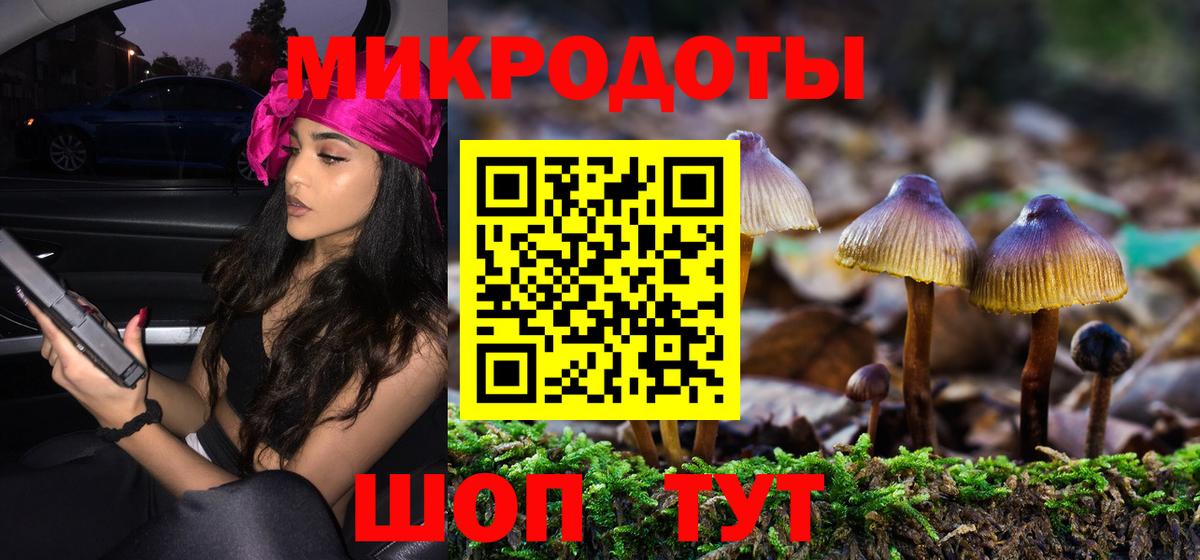 APVP Борзя
