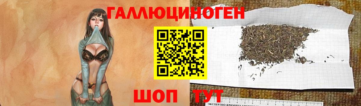 Псилоцибиновые грибы GOLDEN TEACHER Борзя